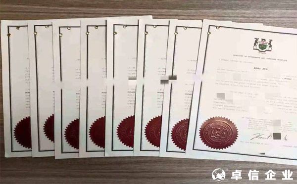 2022英國無犯罪記錄公證認證？（成功案例分析）