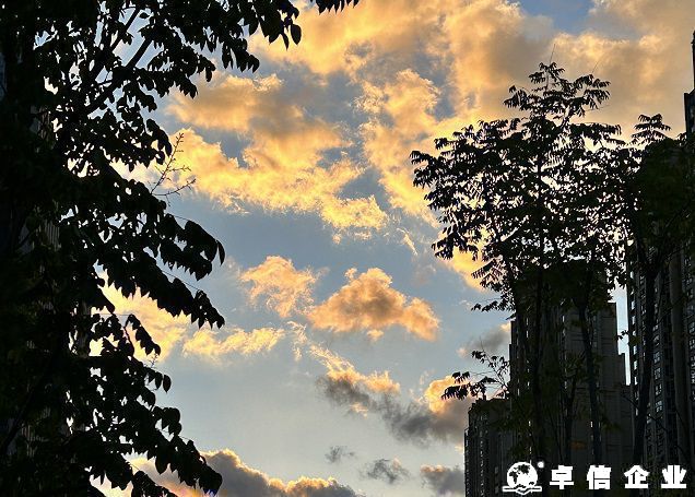 迪拜公司長期零申報或停業(yè)不注銷風險說明