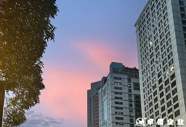 外資企業在意大利可注冊哪些公司類型